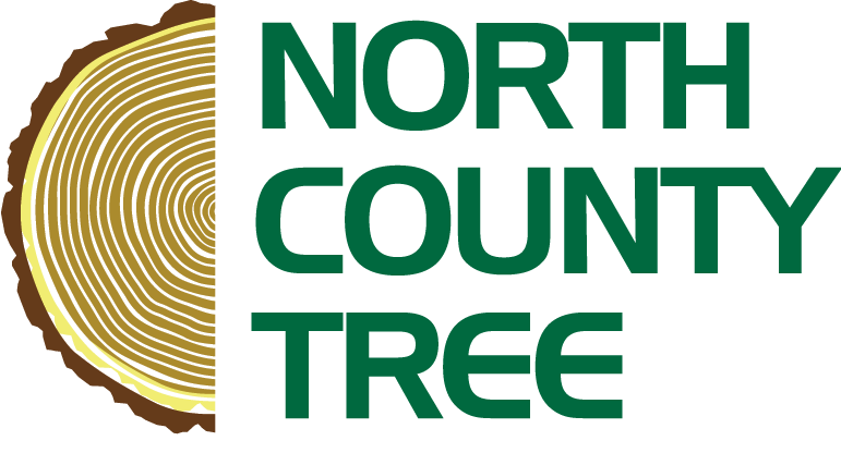North County Tree
